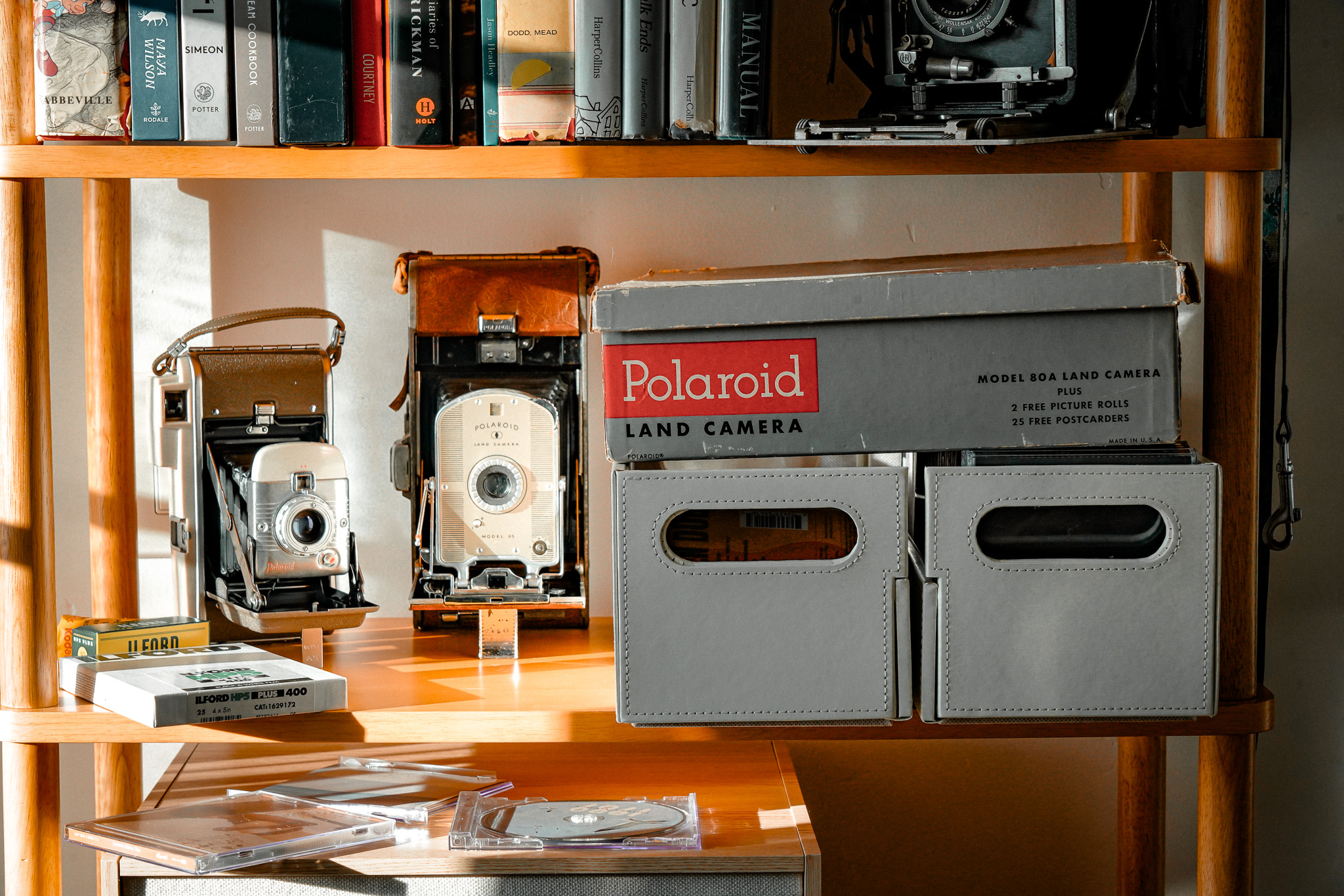 Meet My Camera Collection - Lexi Gerdts Photography