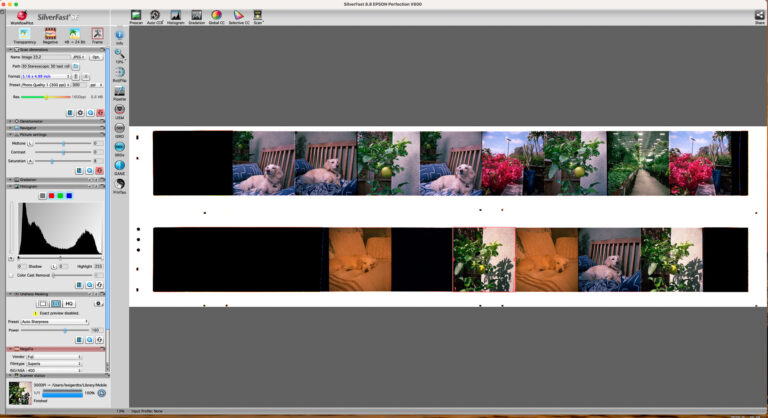 Screenshot of SilverFast photo scanning software, showing how the photos are scanned into the computer not in a synchronous order.