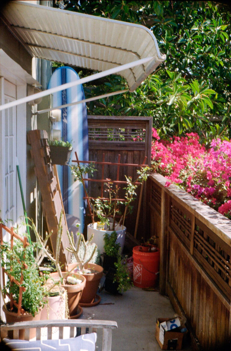 Ocean Beach San Diego backyard with blue surfboard and pink bougainvillea flowers, Yashica Electro 35