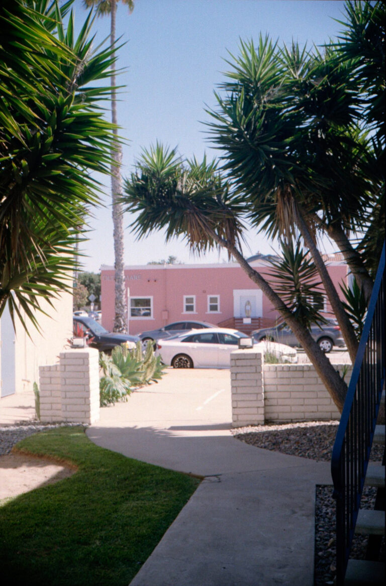 Pacific Beach San Diego driveway with yucca trees and pink building, Yashica Electro 35 film photography