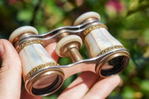 Vintage 1880's Le Roque Paris mother of pearl french opera glasses