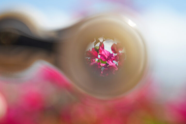 eyepiece close-up of the Vintage 1880's Le Roque Paris mother of pearl french opera glasses - looking at flowers