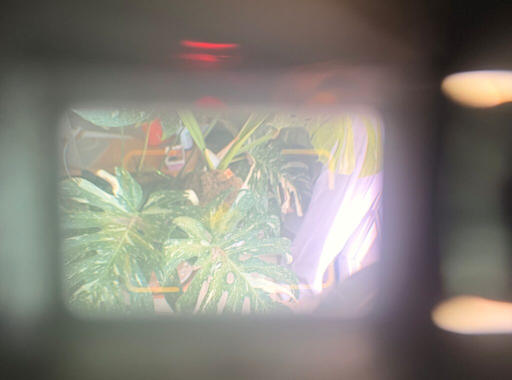 Yashica Electro 35 viewfinder internal view