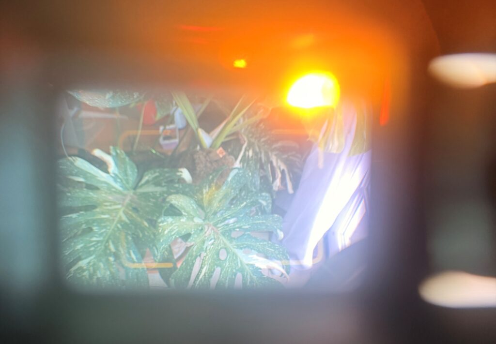 Yashica Electro 35 (with working battery) showing the aperture adjustment light glowing orange