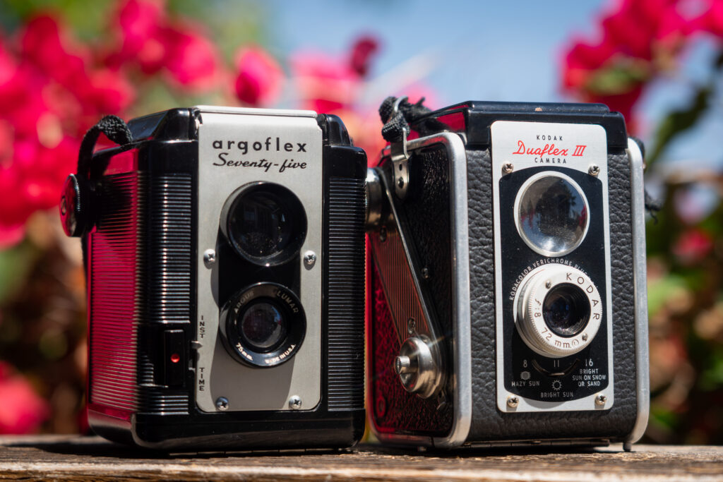 Kodak Duaflex III and Argus Argoflex Seventy-Five box cameras side by side against pink bougainvillea
